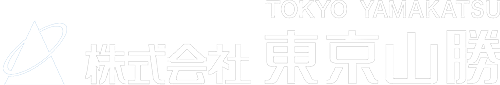 ty_logo_white